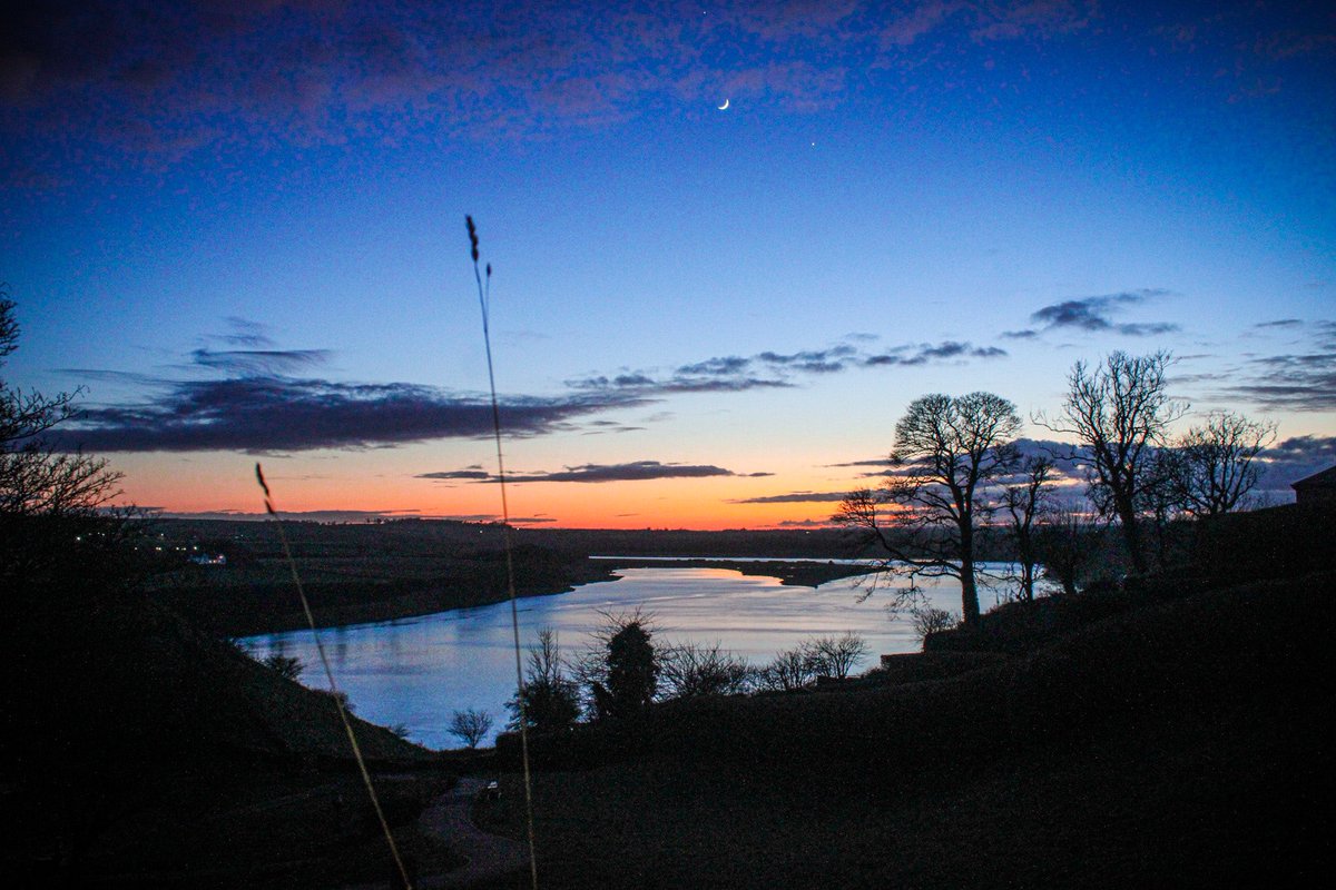 InspiringBlues's tweet photo. #RiverTweed tonight as the sunset and the moon rises … #treeclub framing the pic! 📸💙 https://t.co/W3jVUOGa8J