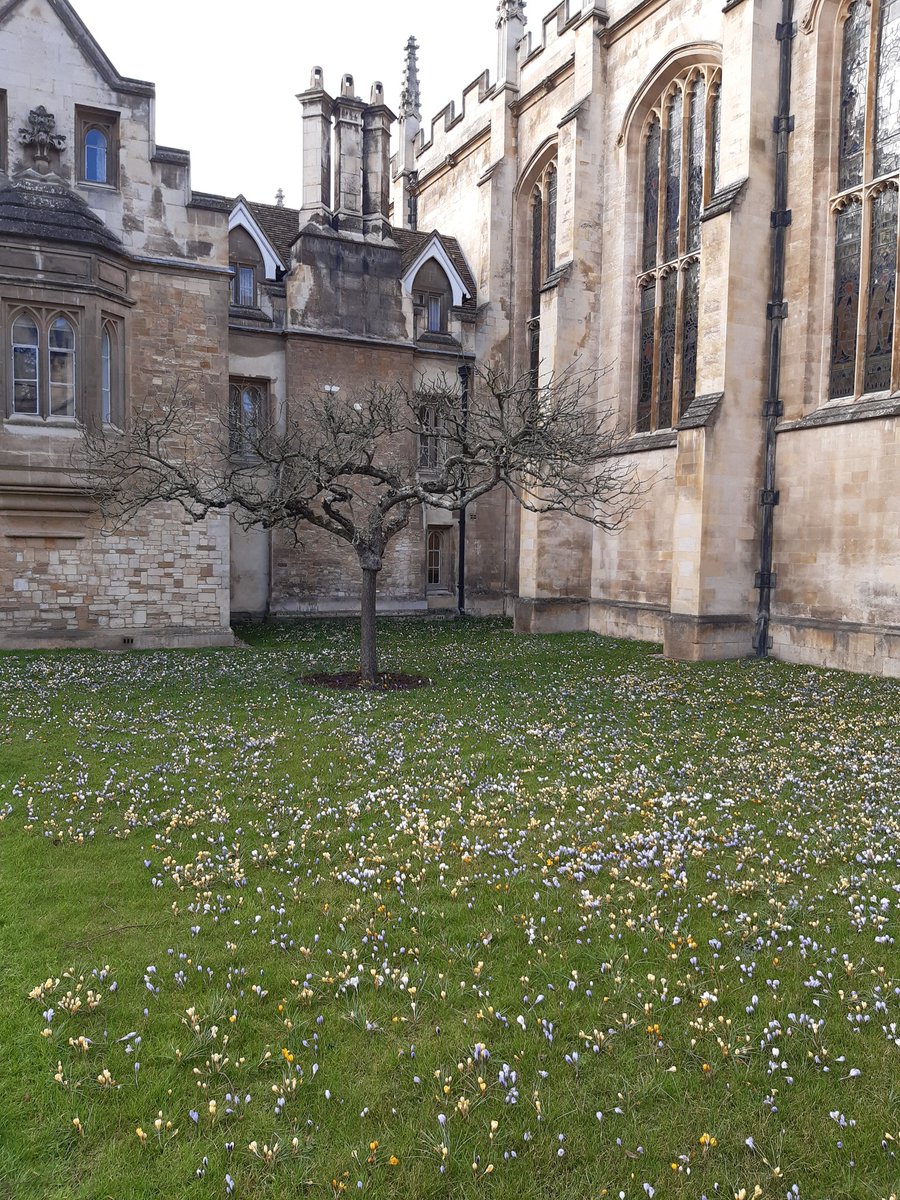 PhysTeacha's tweet photo. Had a fab day out yesteday in Cambridge to attend a #Physics lecture with our sixth formers at the #CavendishLabs about 'Lift'. Very interesting indeed and enjoyed exploring town too with its moments of inspiration in the @WhippleMuseum.
#Globes
#GravityTree
#NoNails
#AirFlow https://t.co/9PSdJlIrPq