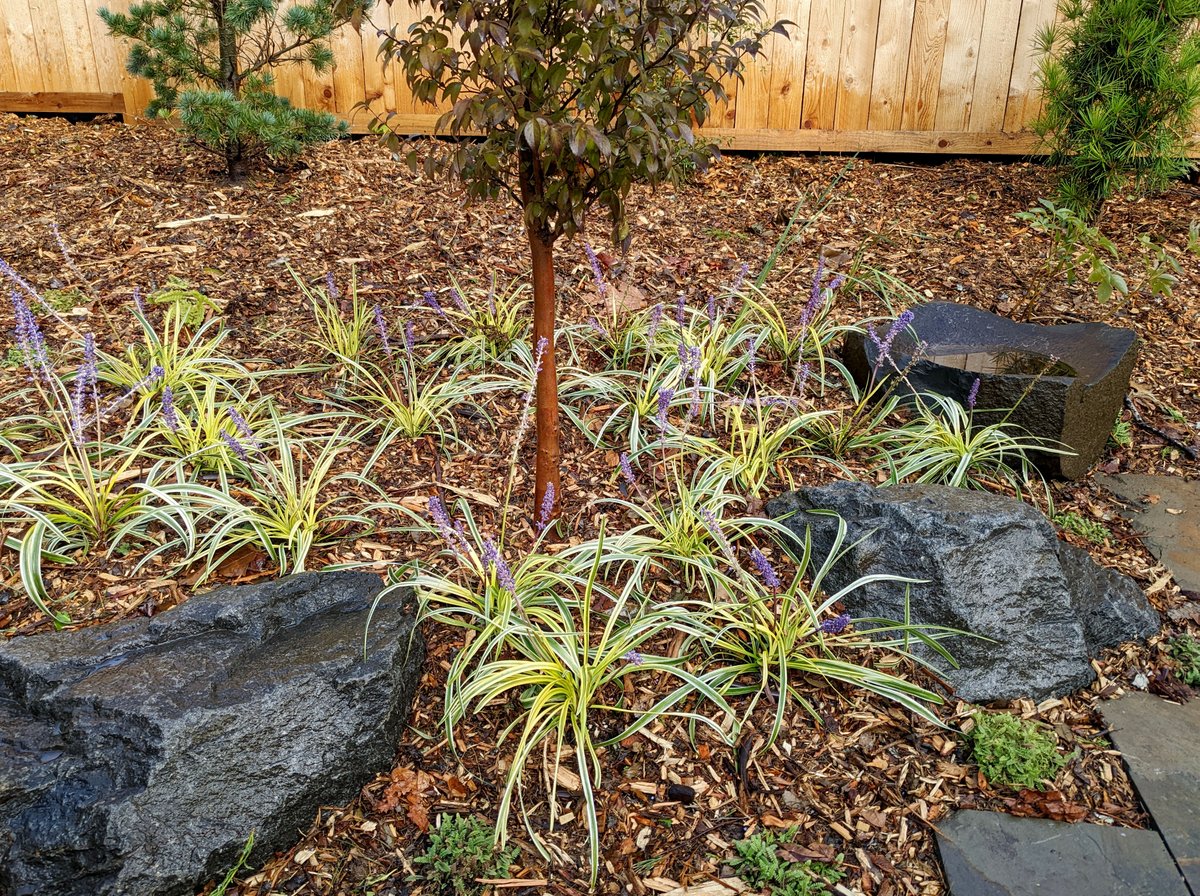 The Peoples Gardening Collective tweet media