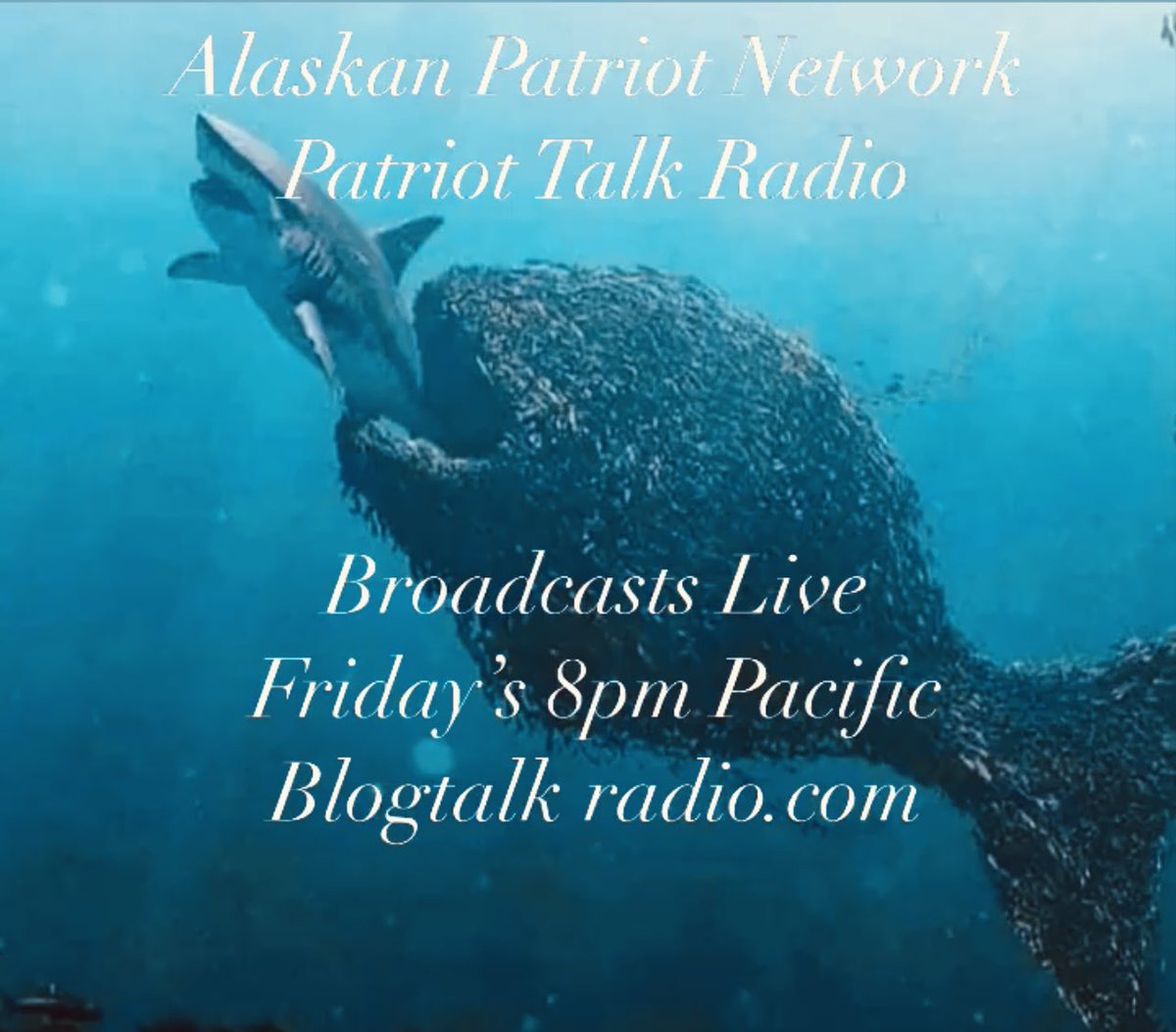 Alaskan Patriot Network tweet media