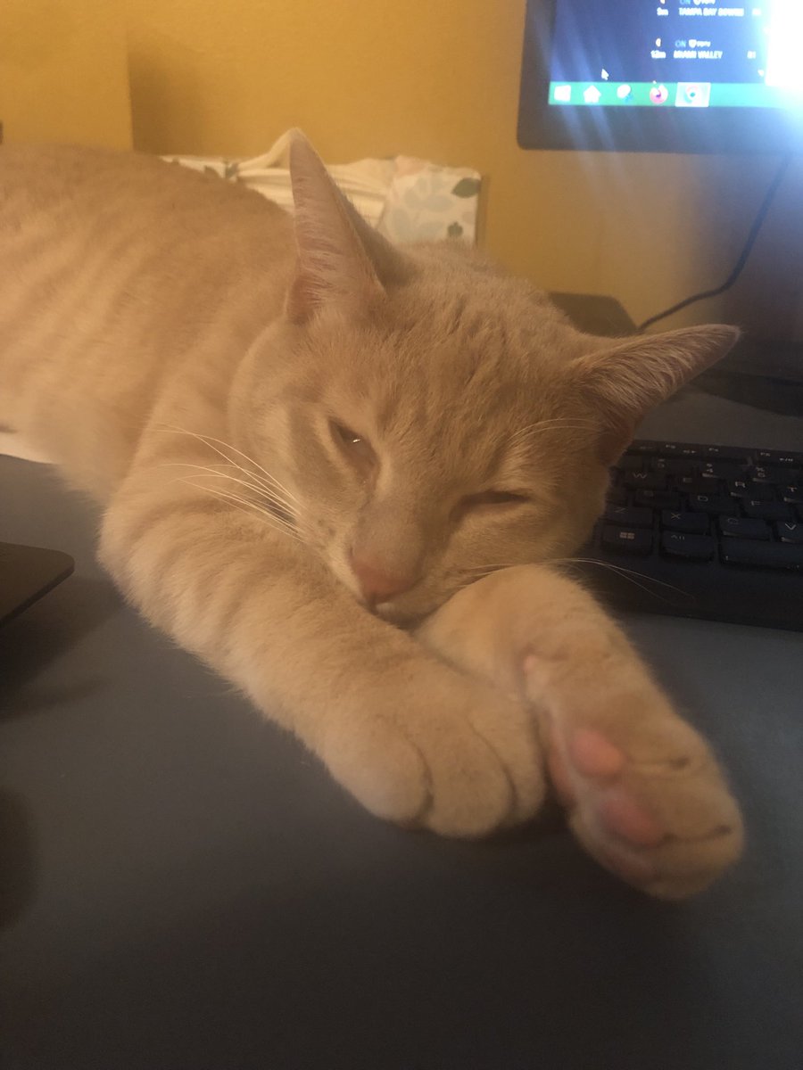 Think you’re going to use this keyboard?  Not until I’m fed