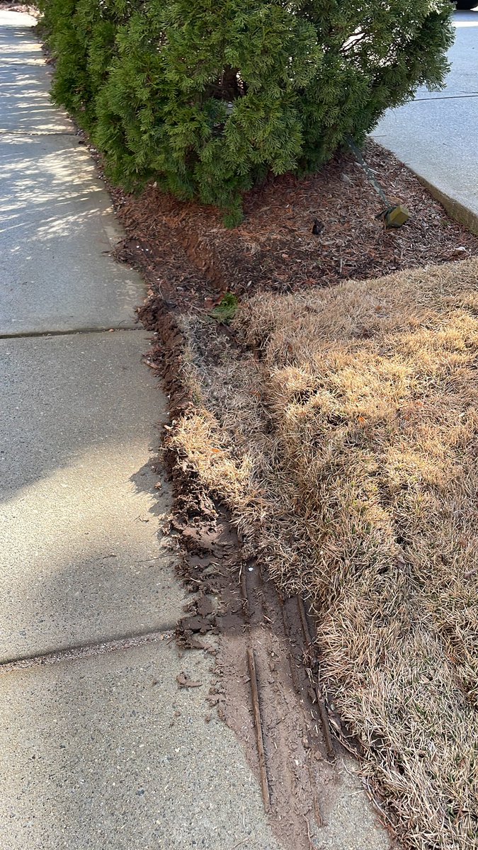 smyrnavinings's tweet photo. @UPS thank you for backing up the driveway and trashing my yard in the process. Managed to miss the driveway at the beginning and the end. https://t.co/T8rDMjQeBX