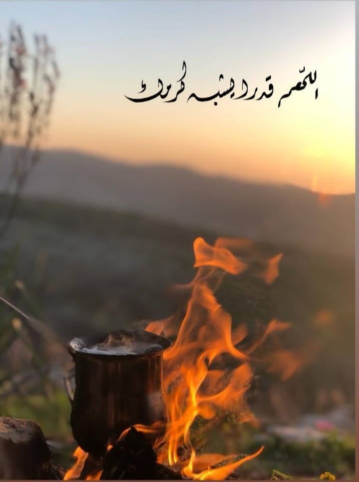 Ansam khatatbeh (@ansamalikh) on Twitter photo 