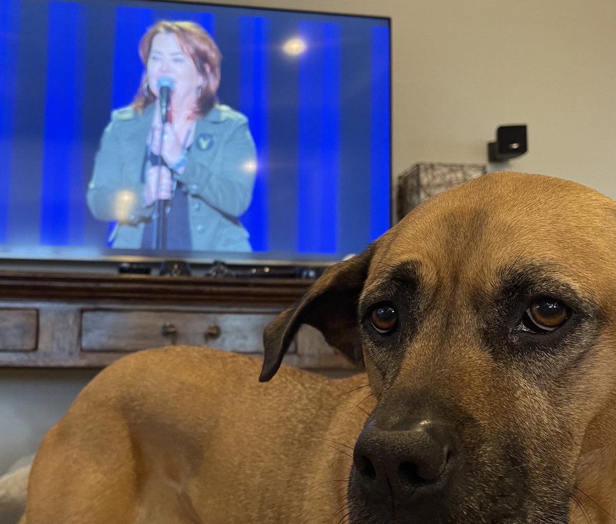 ludditeparent's tweet image. Watching #huntingbigfoot by @kathleenmadigan again bc I laughed so hard the first time, I think I missed some stuff. #laughtrack @PrimeVideo