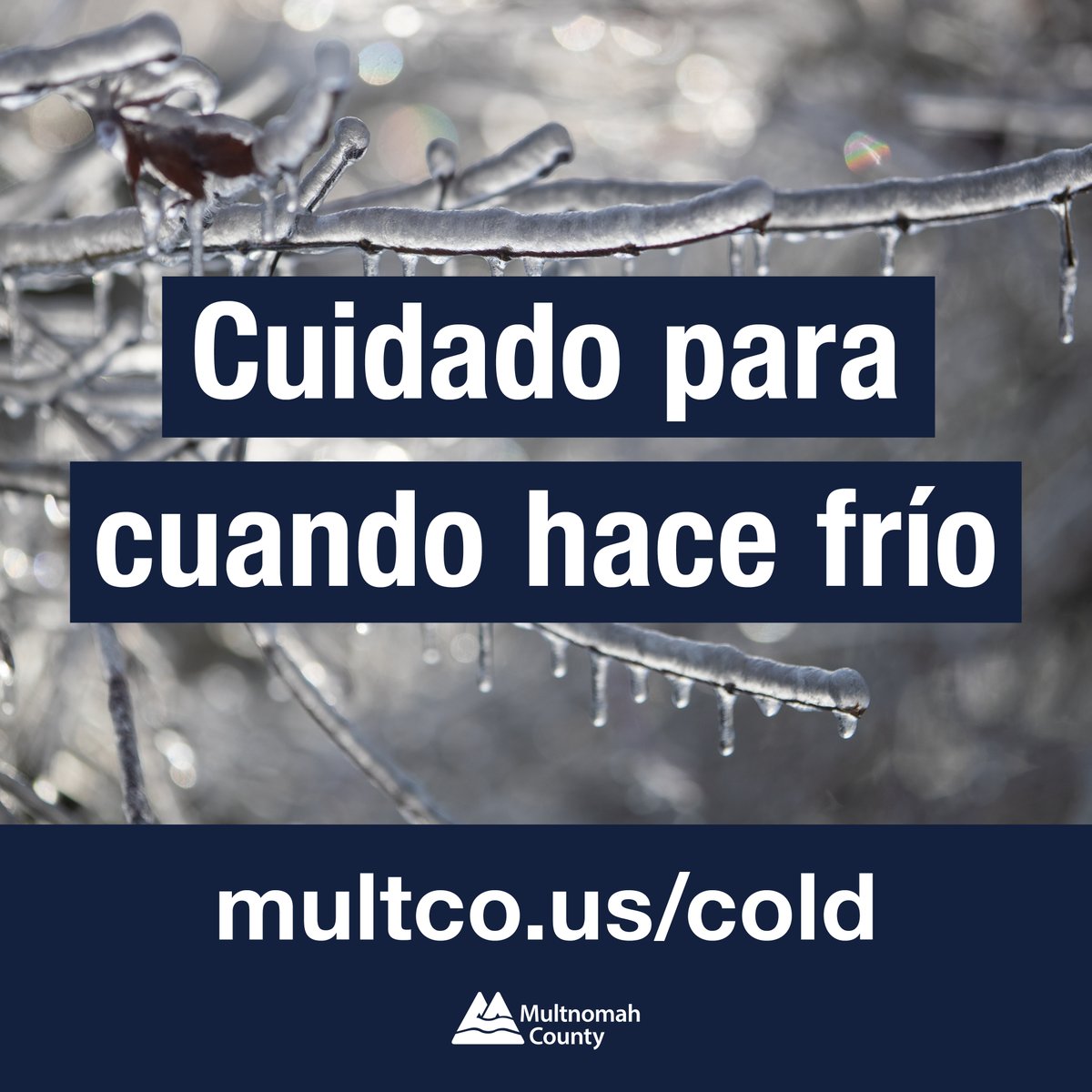 Nadie será rechazado. Todos los sitios aceptarán mascotas y serán accesibles para personas con discapacidades. El transporte gratuito a refugios cálidos y lugares cálidos durante el día estará disponible llamando al 2-1-1.