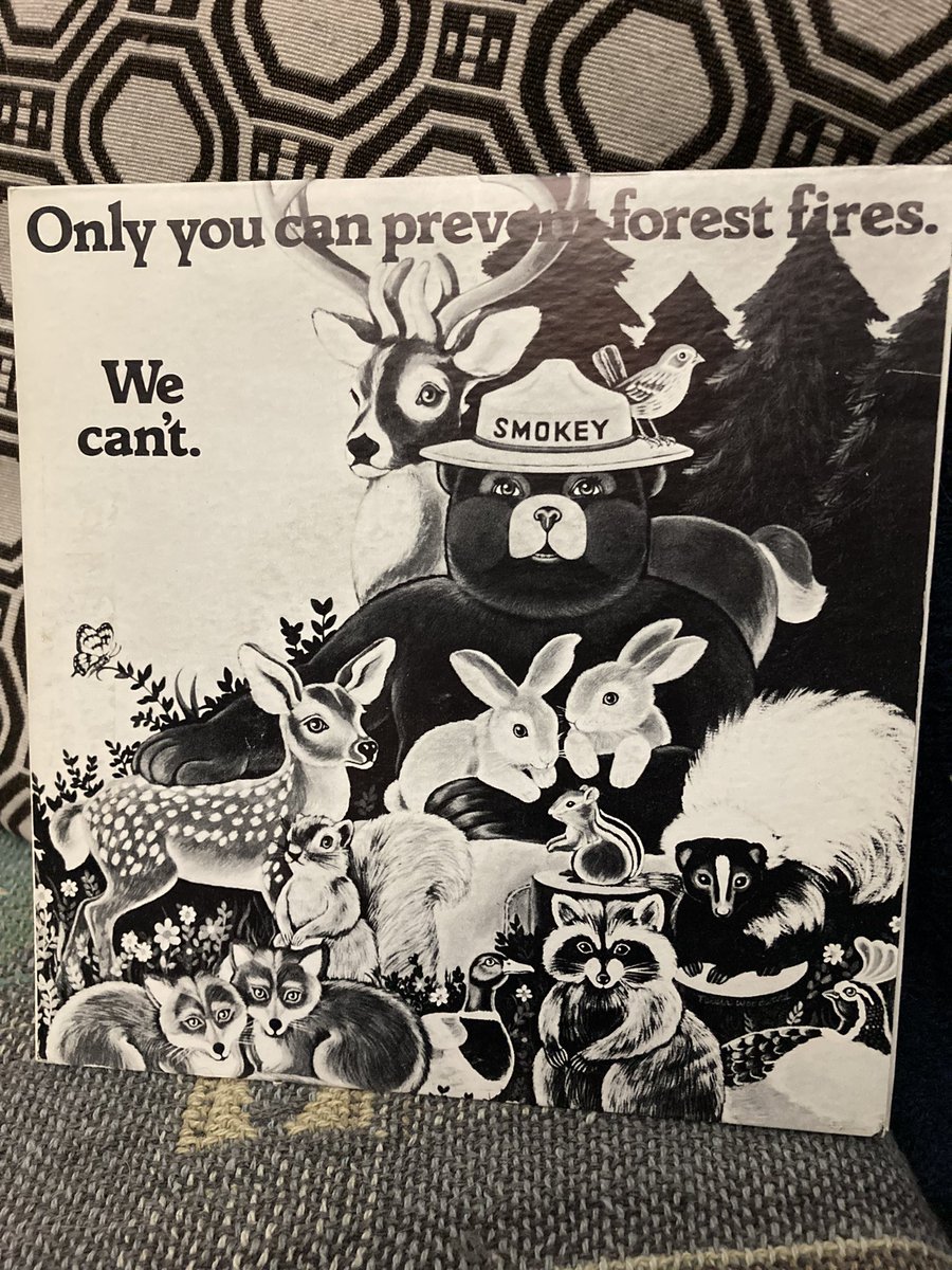 alibrarytech's tweet photo. I need to find a record player stat! I found these treasures of @smokey_bear ‘45’s from my late-great Dad, former Exec VP of the #ontarioforestryassociation #JimCoats #RPF #radiospots #radiospots45s #smokeybear #vinyl #onlyyou #onlyyoucanpreventforestfires 🐻 https://t.co/158T177JJr