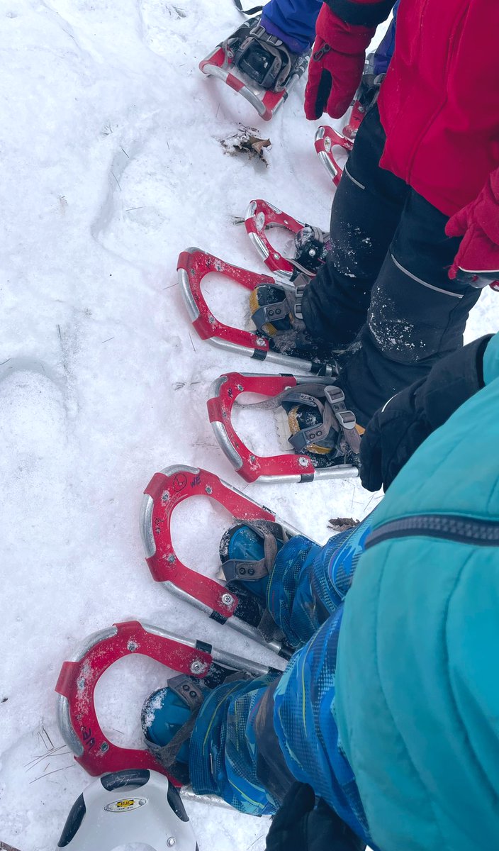 SusanKochVT's tweet image. You really haven’t lived until you’ve snowshoed with a class of first graders! #ECO #somanystraps #firstgrademagic #ThisisUES @BareaKatie @AmyKochy @NBNC_VT @MsWolfinger @ZeilengaJillian @EcologySchoolME