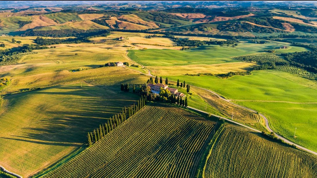We’re currently imagining lush vineyard landscapes, olive groves, and indulging in truffles, chocolate, cheese and of course, fine wines. 

We're dreaming of an Italian summer. mailchi.mp/intothevineyar…