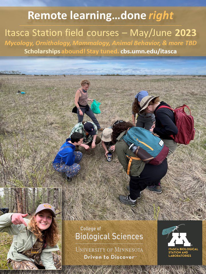 Courses sign-ups go LIVE tomorrow, Feb 23 for <a href="/UMNews/">University of Minnesota</a> students. March 2 open to non-UofM students. These courses begin May 15 at Itasca. Go for it!!!!!! <a href="/umncbs/">UMN CBS</a>