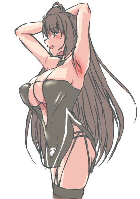 メンテ前だが瑞鶴塗った 