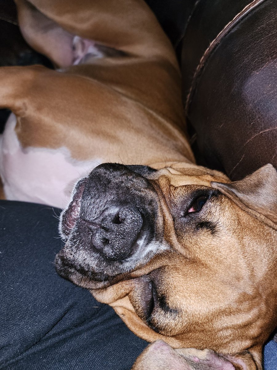 RowdySmoke tweet media