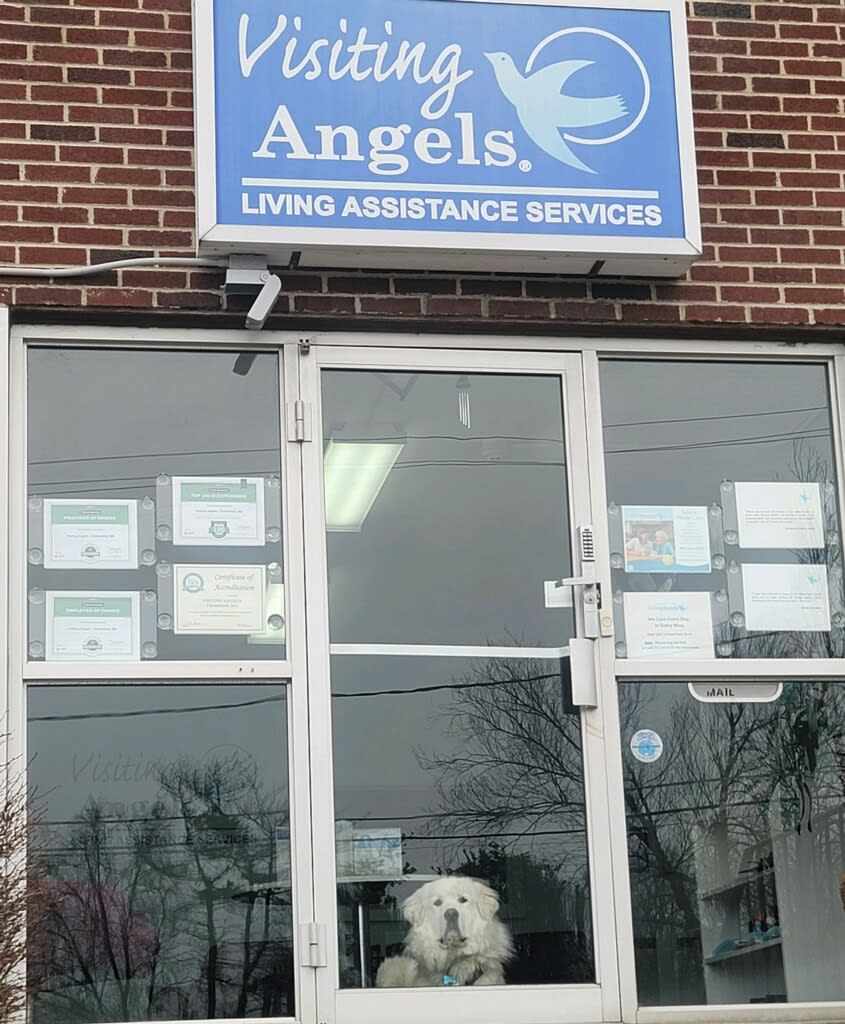 VisAngel_MA's tweet photo. Our office #angel is waiting for you!  Apply today to join our team of #caregivers! 🐶  https://t.co/wB3xwREUaU https://t.co/z1woIY1GZl