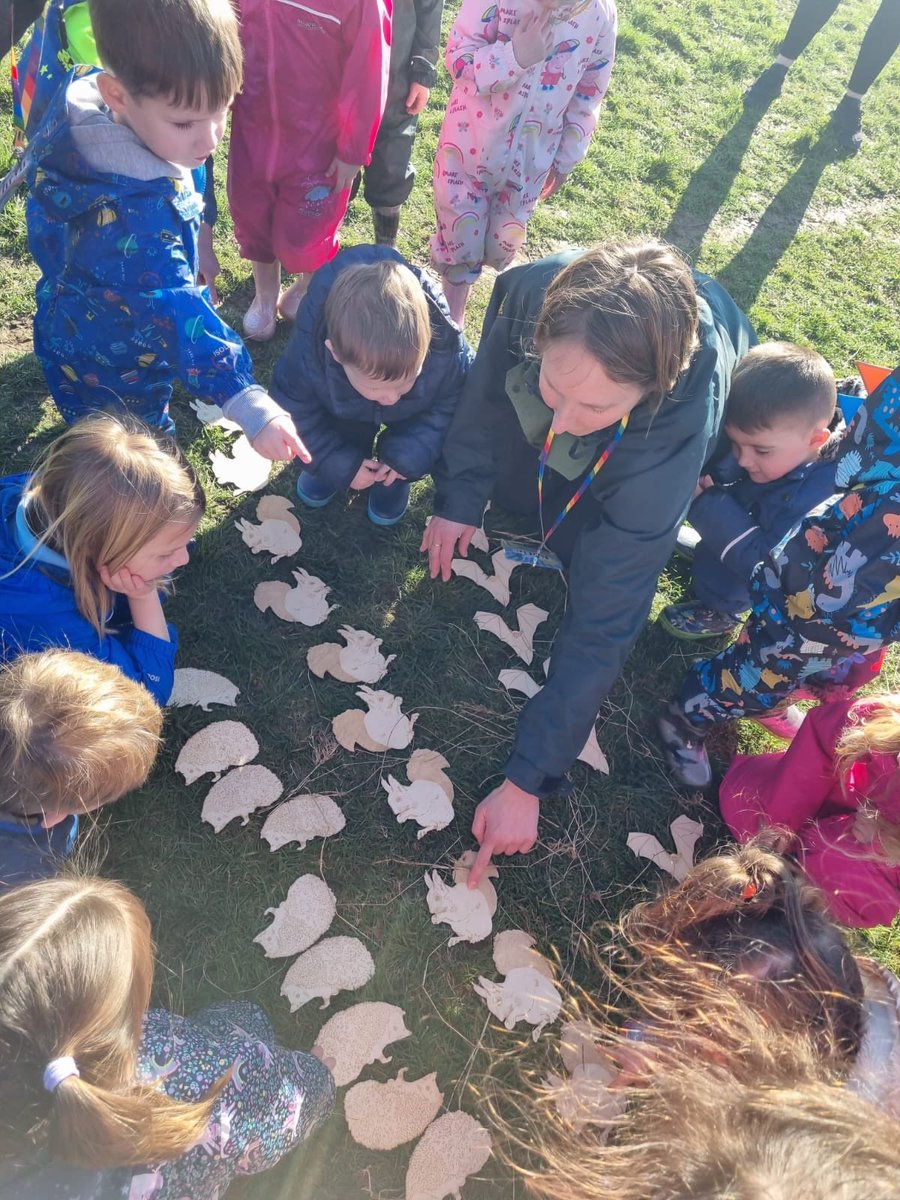 ForehillN's tweet photo. Lots more outdoor learning fun finding out about animals that hibernate https://t.co/IC2WbT9cMN