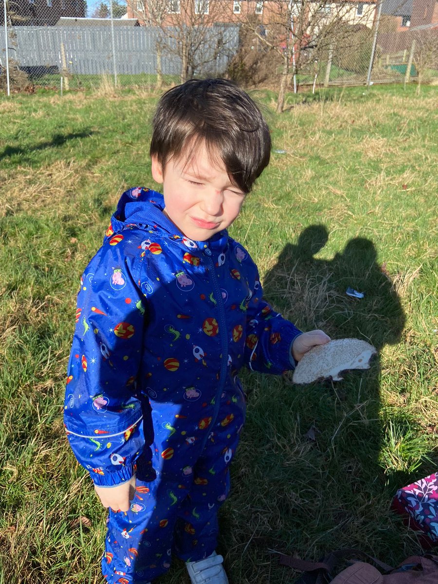 ForehillN's tweet photo. We loved meeting Mrs badger and all her friends . We joined in with lots of fun activities https://t.co/IGtfIo9Son