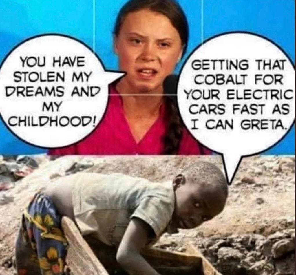 LozzaFox's tweet image. They are the exact thing they accuse you of.