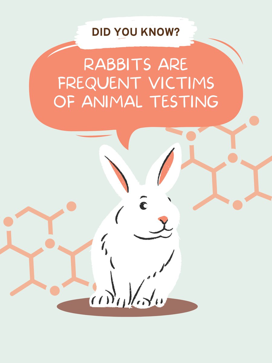 HumaneActionPA's tweet image. No more animal testing! #FDAModernizationAct #NoAnimalTesting