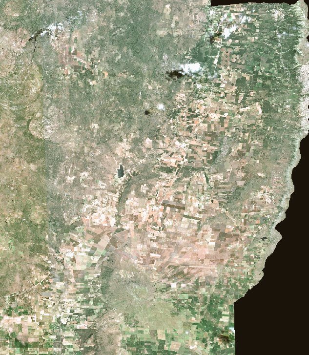 Flavio D Bertola tweet media