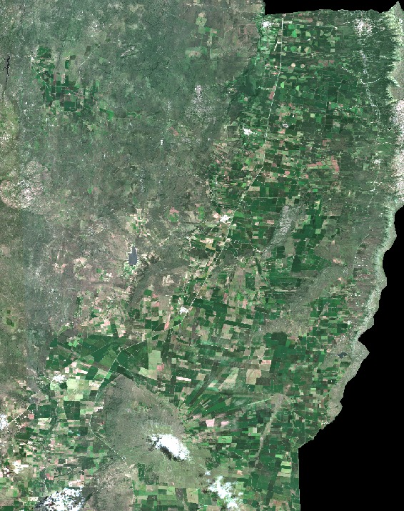 Flavio D Bertola tweet media