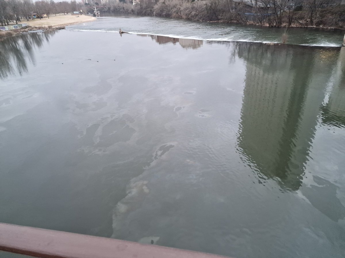 ComiteTodoMal's tweet photo. @AyuntamientoVLL @oscar_puente_ @ValladolidCOPE Buenas tardes, ¿por qué el agua del Pisuega está contaminada? Se puede ver un vertido flotando sobre el agua
@psoevalladolid @PPValladolid @voxvallciudad @TomaLaPalabraVA https://t.co/aZjss0p4IF