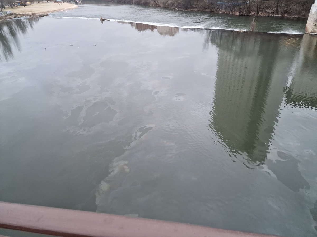 ComiteTodoMal's tweet photo. @AyuntamientoVLL @oscar_puente_ @ValladolidCOPE Buenas tardes, ¿por qué el agua del Pisuega está contaminada? Se puede ver un vertido flotando sobre el agua
@psoevalladolid @PPValladolid @voxvallciudad @TomaLaPalabraVA https://t.co/aZjss0p4IF
