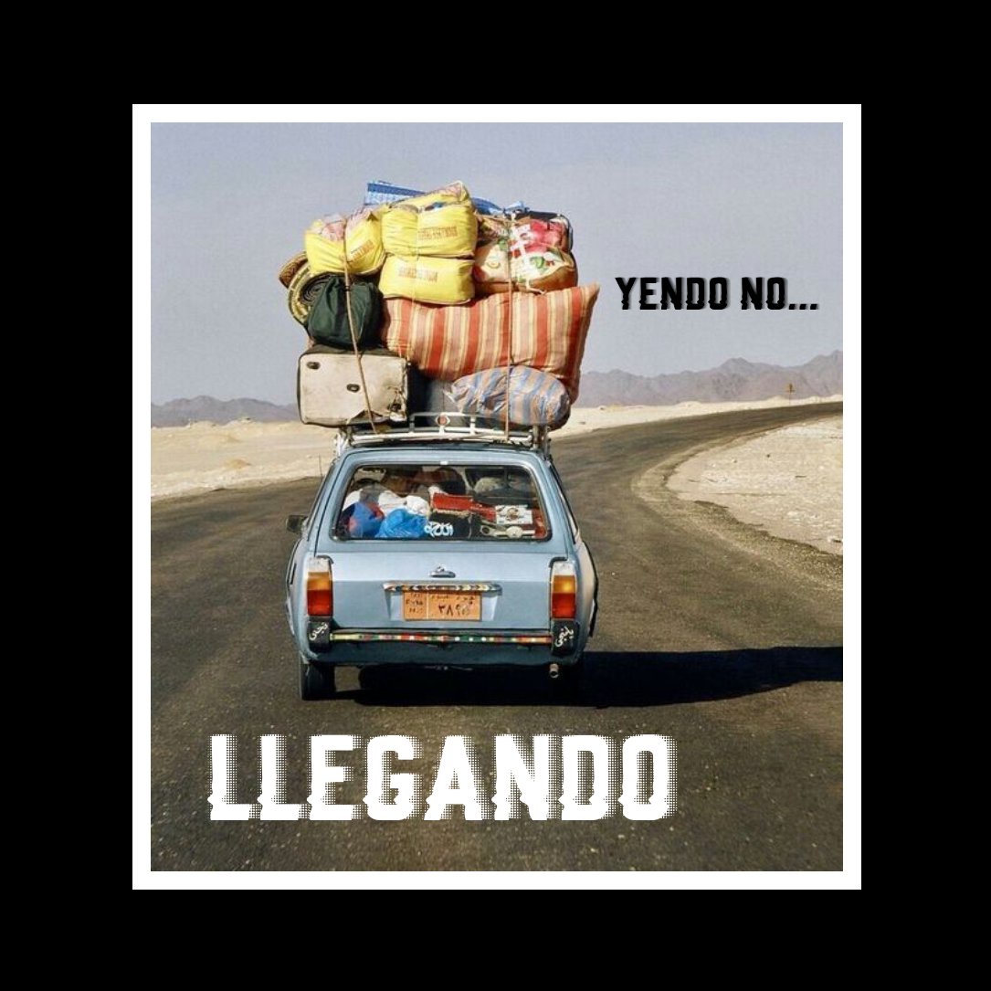 Sporting Carina (@sportingcarina) on Twitter photo 