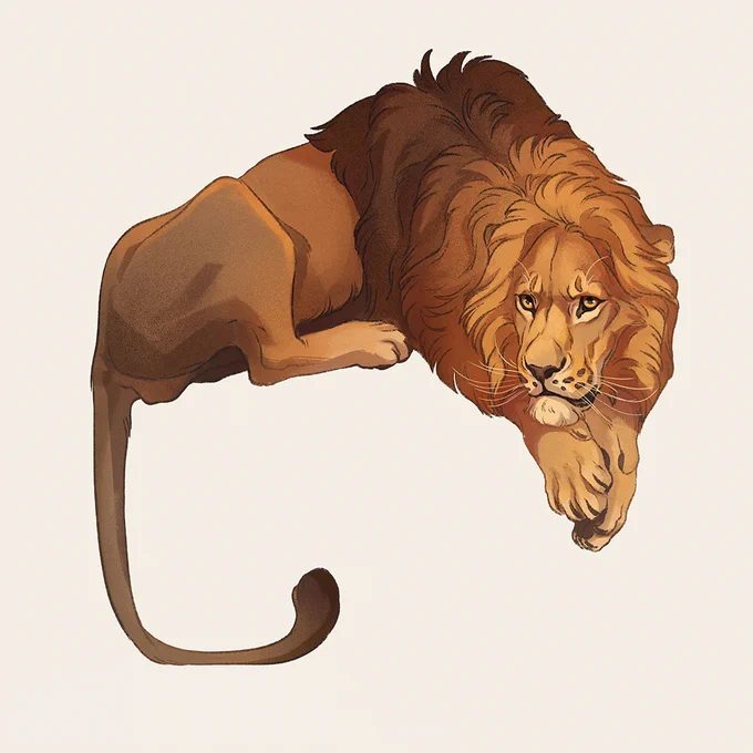 Lion for #febroary! I'm planning to do only three more and it will be everything for this year's febroaries.Can you quess the other three cats? Let me know in the comments! 