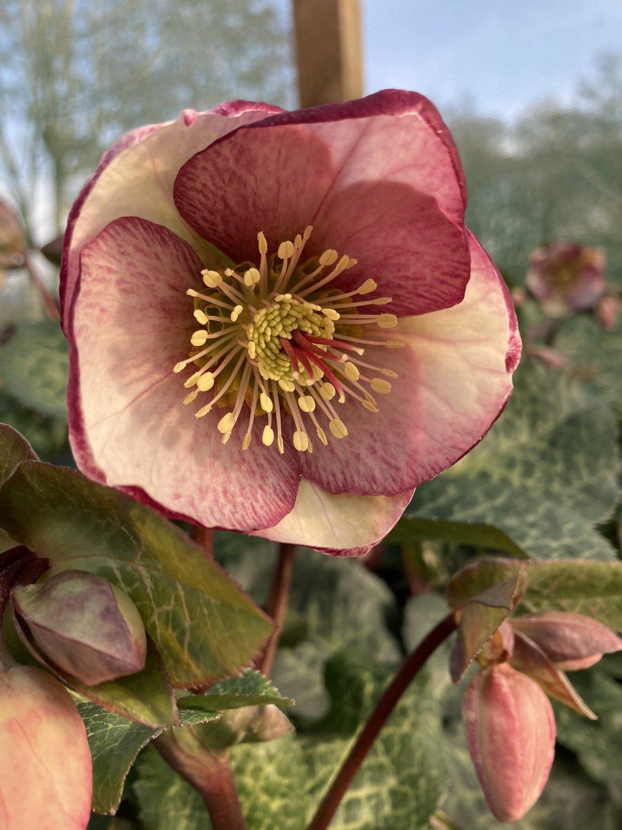 Andy Garland tweet media