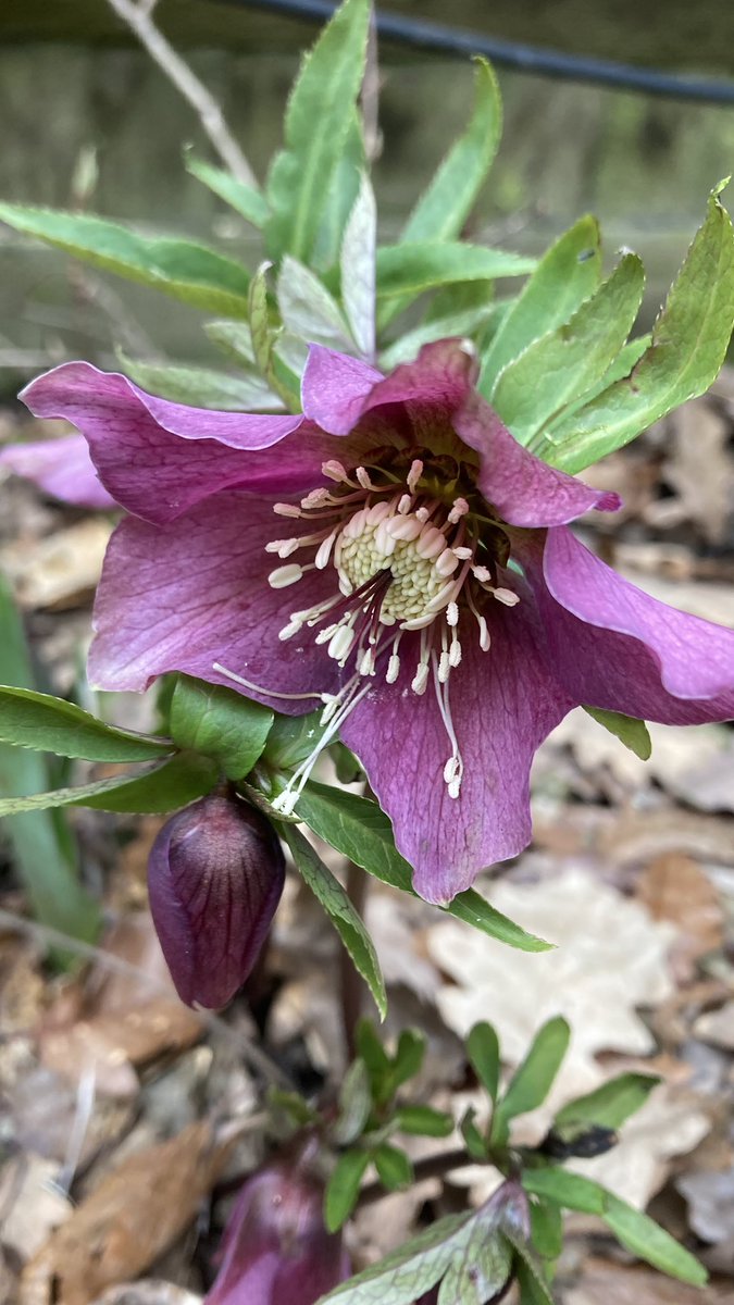 Andy Garland tweet media