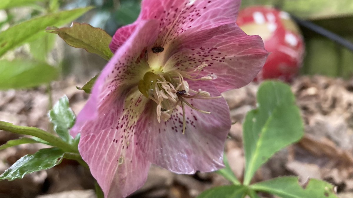 Andy Garland tweet media