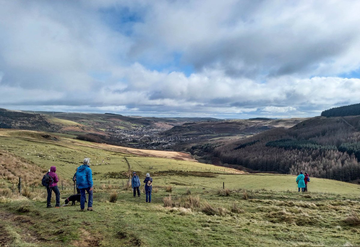 lee williams tweet media