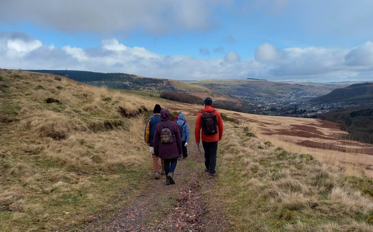 lee williams tweet media