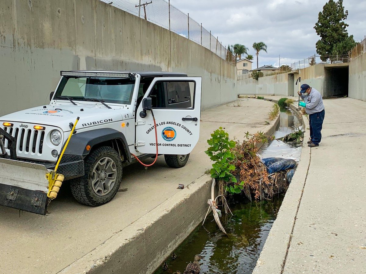 GLAmosquito's tweet photo. Miles of flood channels help #stormwater #runoff move along the region and into the ocean. Many times, objects and trash can get stuck along the way. Our specialized Hard Tire vehicles tour the channels to treat standing water and remove large barriers.  
#PublicHealth #LARain https://t.co/AqBh35XMGU