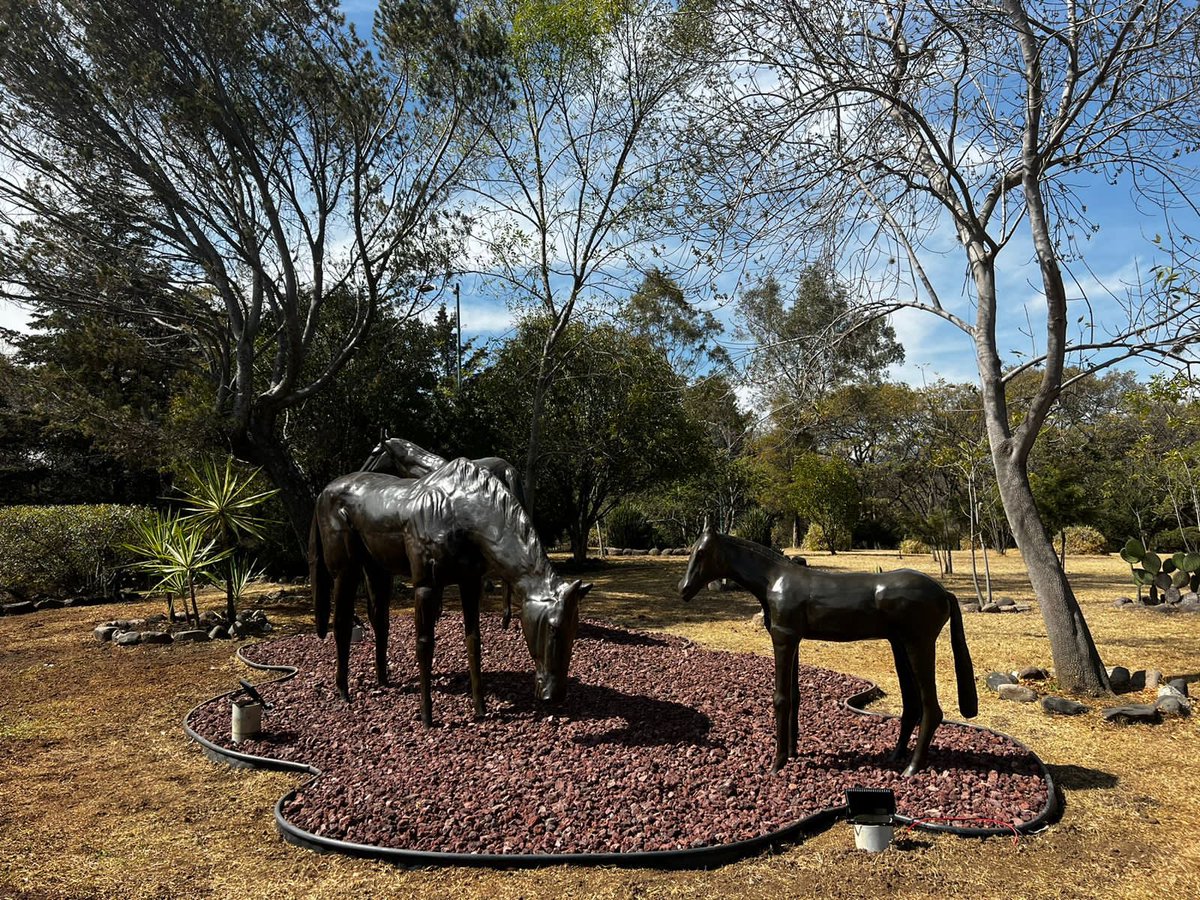 Ac_Sayavedra's tweet photo. ¡Así luce la Glorieta de los Caballos! 🐎
Renovamos la imagen de la glorieta principal de #condadodesayavedra con el propósito de preservar nuestra áreas comunes. https://t.co/gxOKcHqYAA