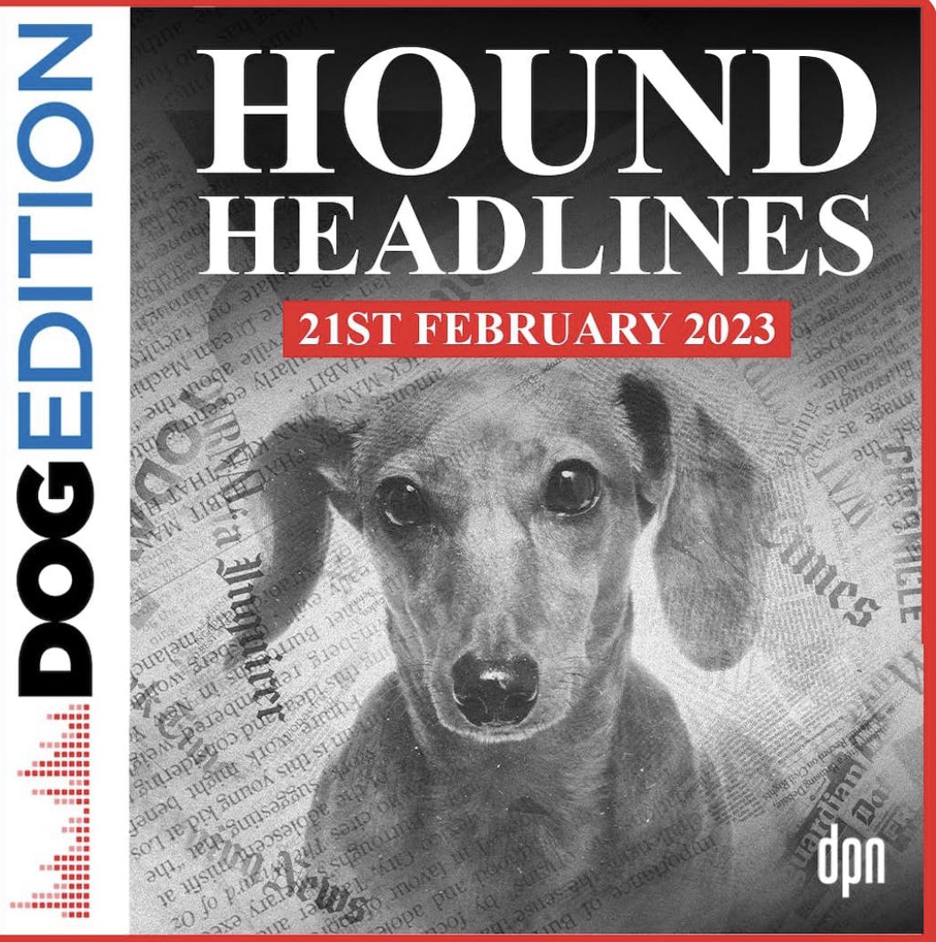 DogPodcastNet tweet picture