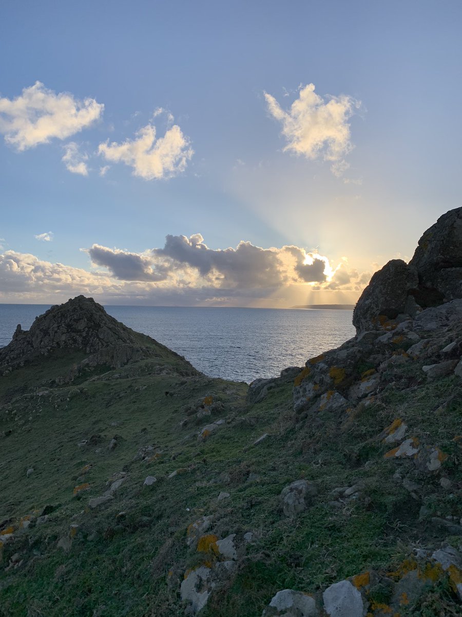lithic_creation's tweet photo. Seeing the day out at #cuddenpoint with the #choughs https://t.co/WR1gatSGxu