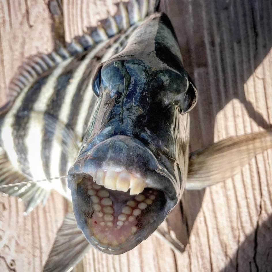 Artificial Delirium Podcast tweet media