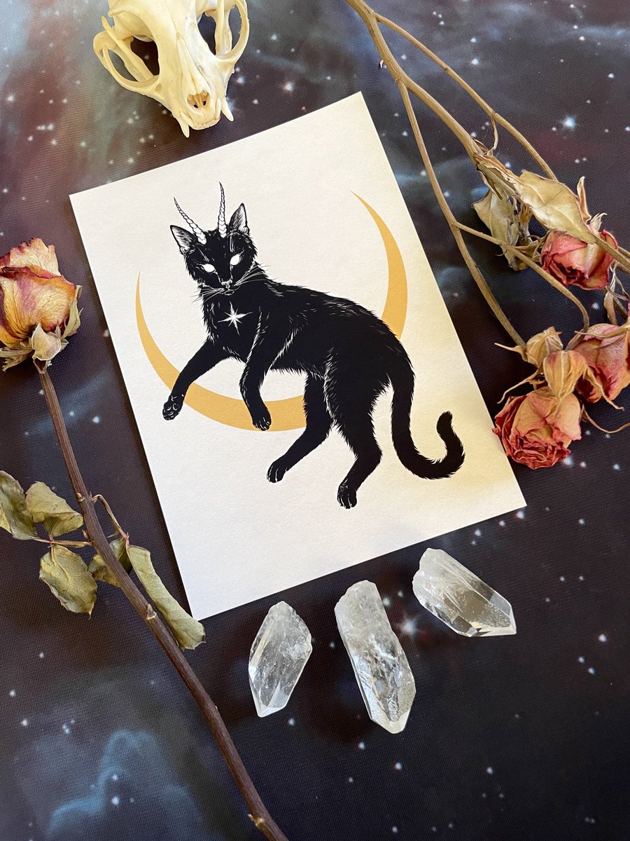 AmandaTulacz's tweet photo. “Morning Star” - an illustration I did in honor of black cats everywhere 🌙🐈‍⬛🌙 

#illustration #illustratorforhire #blackcat #witchyart #darkart #art #ArtistOnTwitter #witchythings  #illustrator #EmergingArtists https://t.co/fc9rAiYnM9