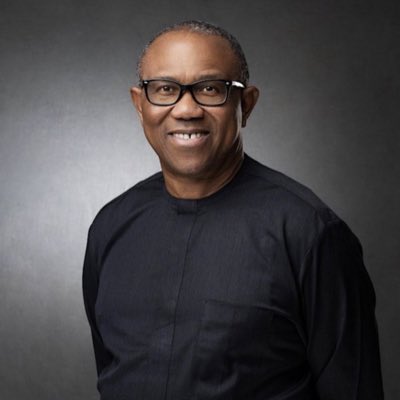 RT @ibeh84: It's a tsunami coming. Peter Obi is the next president of Nigeria. 

#PeterObi4President2023 https://t.co/zU05mlCVaA