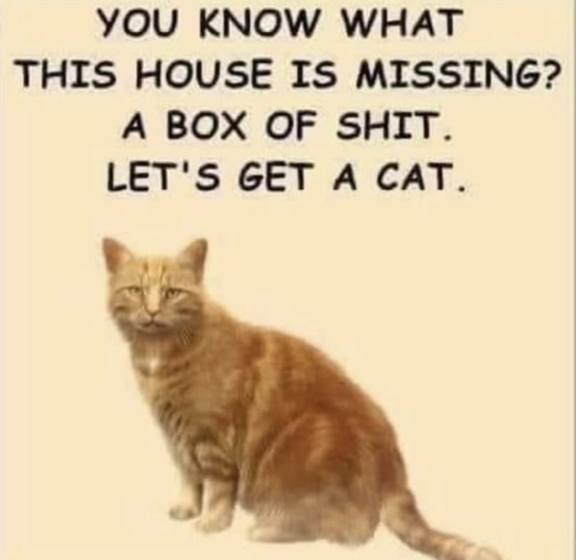 😂