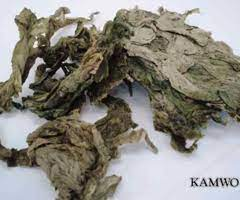50Plushealths's tweet photo. The #ChineseHerbs: #KunBu or #HaiDai (Thallus Laminariae seu Eckloniae) https://t.co/CWdl0Ihnlc https://t.co/4LczROqiJw
