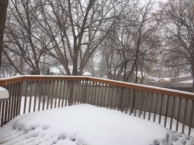 EagleSidingMN's tweet photo. Your eyes don't deceive you, it's another Minnesota blizzard. Don't forget simple steps for preventative maintenance are important to avoid costly damage. Visit https://t.co/0IomYjK5HH for more great home maintenance tips. https://t.co/dnZ67OdNza
