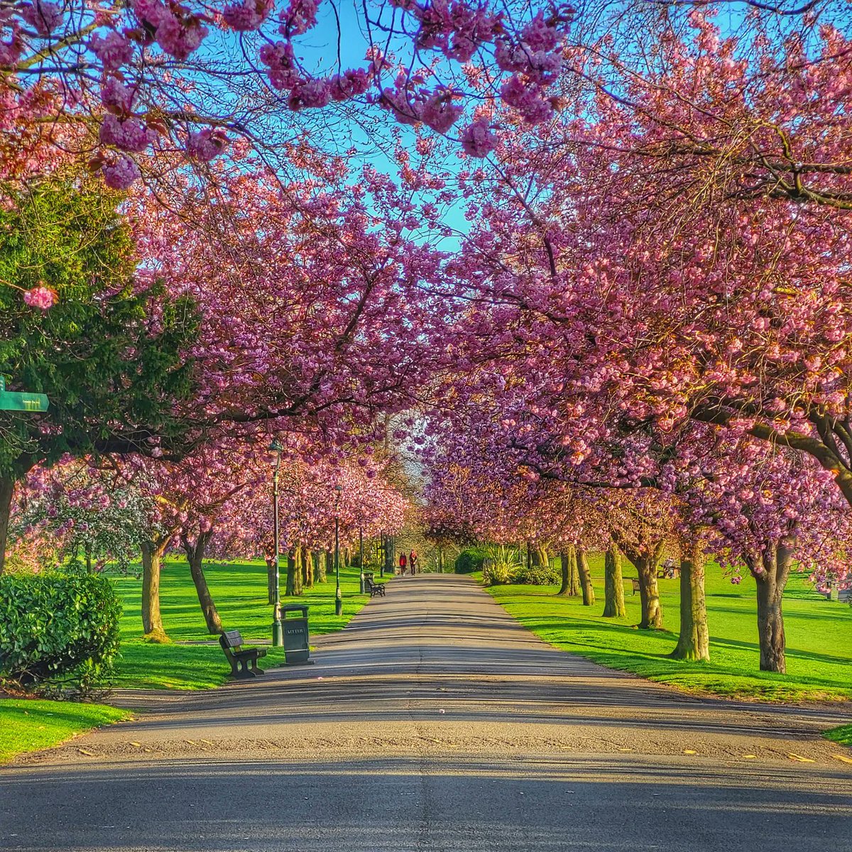 LoveDunfermline's tweet image. A6 Dunfermline has something to discover around every corner with beautiful scenes that are ever changing depending on the time of day or season #ScotlandHour
