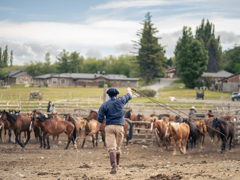 TorresPatagonia's tweet photo. 🌬️Breathe, explore and let go of your worries is our advice when traveling to #Patagonia. Let us take care of the rest with our All-Inclusive programs that are designed to ensure your vacation is just that, a vacation. #nationalpark #LasTorres #TorresdelPaine #Wtrek #Chile https://t.co/flG1kPulvA