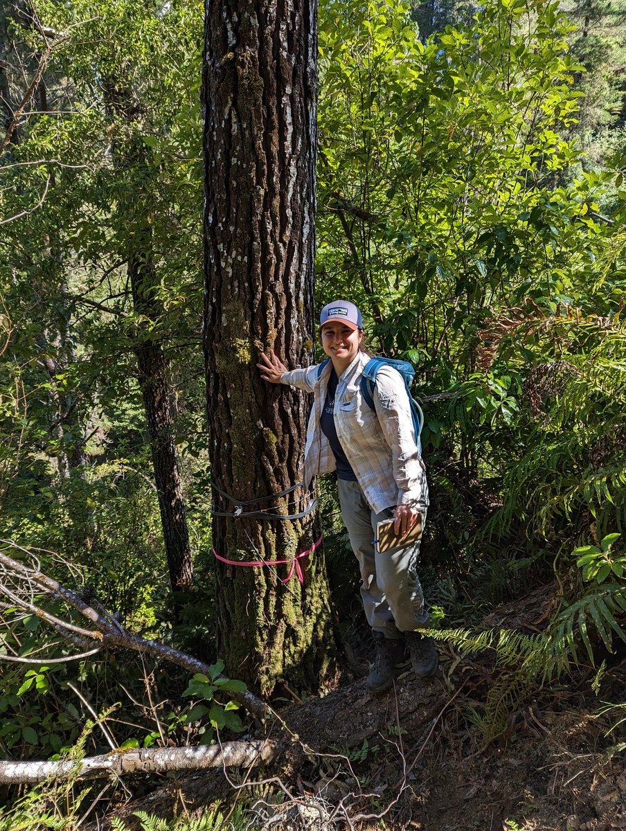 Magali Nehemy tweet media