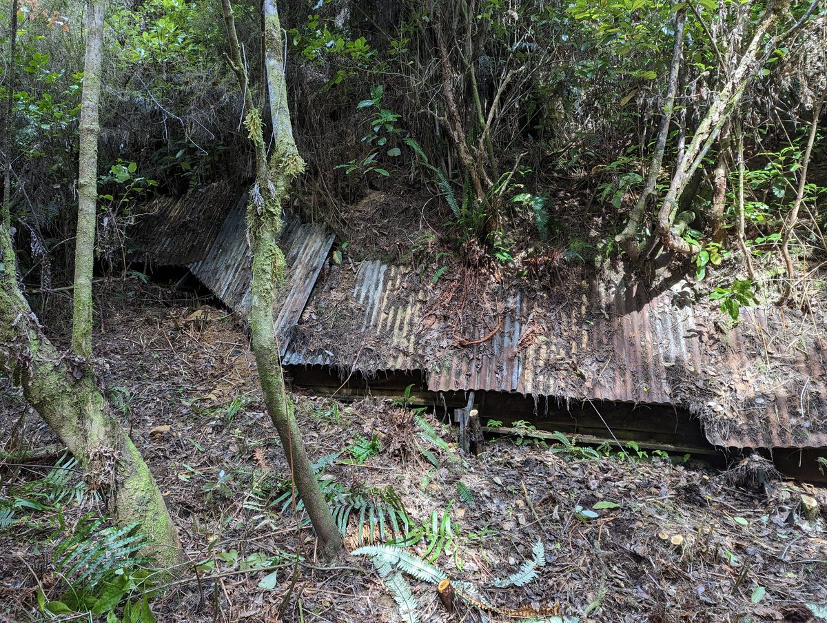What is the💧source of transpiration🌲 at Maimai? Going after this simple question at the hillslope scale in one of the most studied catchments 🌏 Spent the best time in the field with Chris Gabrielli, Jeff McDonnell, Uwe Morgenstern, Brian McGlynn and others... See you soon NZ!