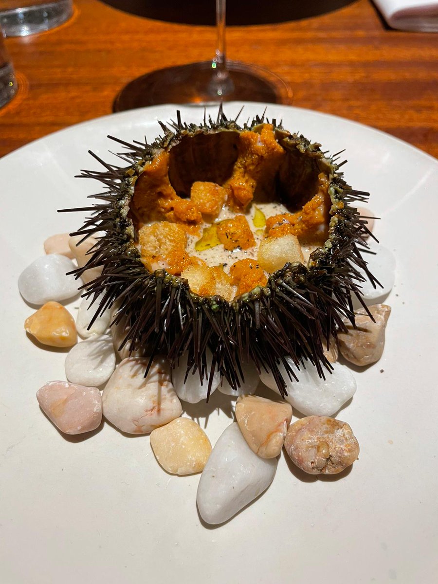 SingleMalt18 tweet media