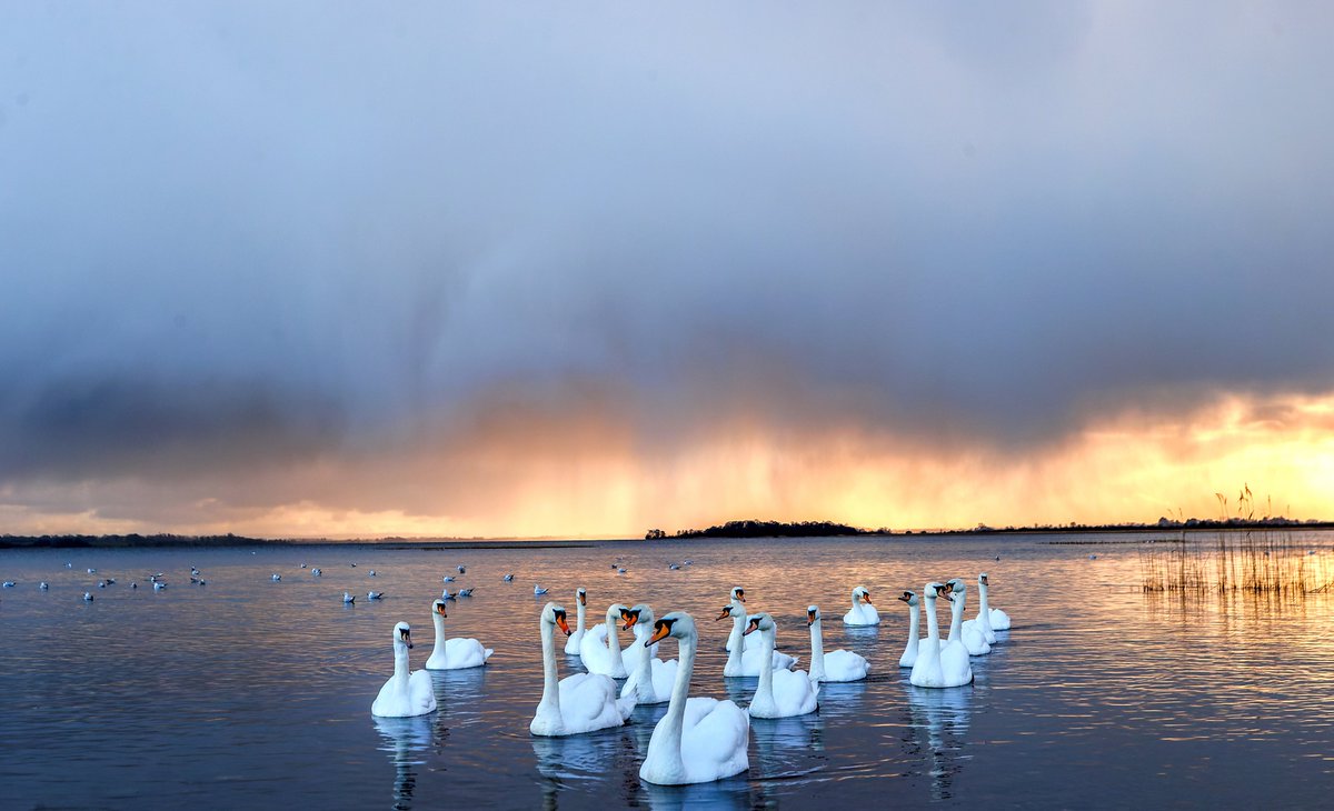 James Crombie tweet media