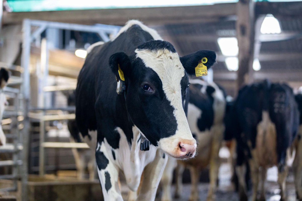 Robotic Farm Management with Fullwood JOZ 
Control your time &amp; results at your finger tips🫵
Learn more: bit.ly/3EvkavN
Or call <a href="/InnovatFarming/">Innovative Farming Solutions</a>  for an appointment 0493214077
#FullwoodJOZ #innovativefarmingsolutions #dairysa #dairyaustralia