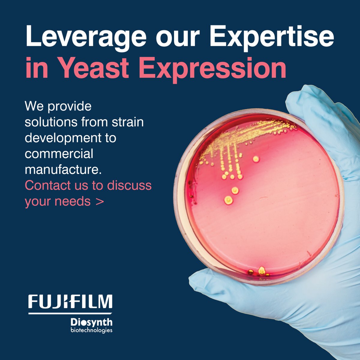 With over 30 years of experience in #microbial #fermentation, one of our core areas of expertise is developing large-scale processes for recombinant protein expression in microbial hosts. Learn more: fujifilmdiosynth.com/microbial-ferm… #biotherapeutics #strainselection #partnersforlife