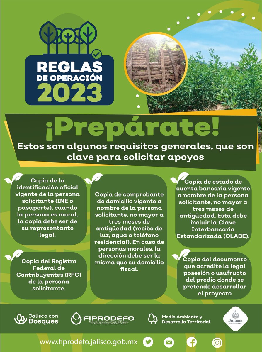 FIPRODEFO's tweet photo. 🟢🌱Entérate📣, el FIPRODEFO publicará en marzo Reglas de Operación para el Desarrollo Forestal Sustentable, prepara tus documentos para acceder a los apoyos, aquí algunos requisitos clave ⚠️
#jalisco #fiprodefo #jaliscoconbosques #semadet #GobiernoDeJalisco https://t.co/s9mNJ4HOyT